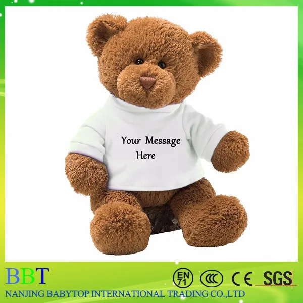 teddy bear with white shirt