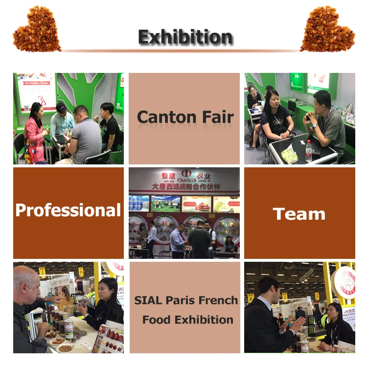 Low price wholesale sultana golden raisins dried jumbo raisin