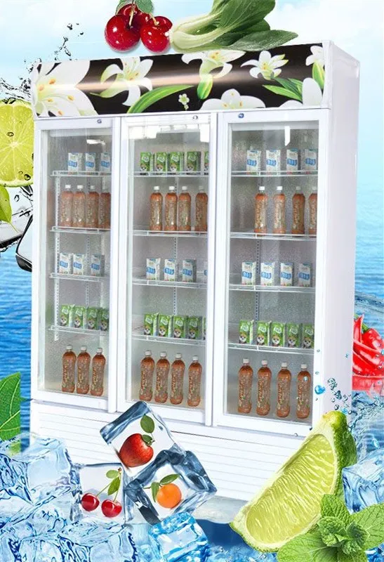 Large Capacity Display Convenience Store Refrigerator ...