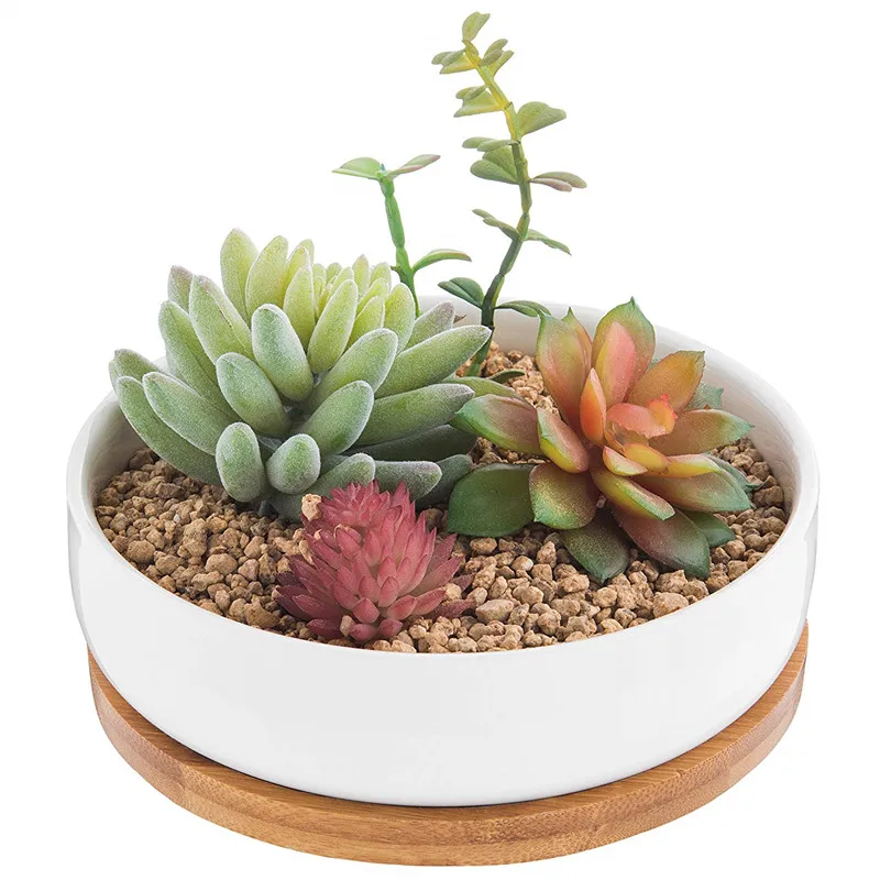 

6.2 Inch Modern Decorative Garden Flower Pot Ceramic Pots for Succulent Cactus Plants Pot with Drainage Bamboo Tray, White or any pms colour is accepted