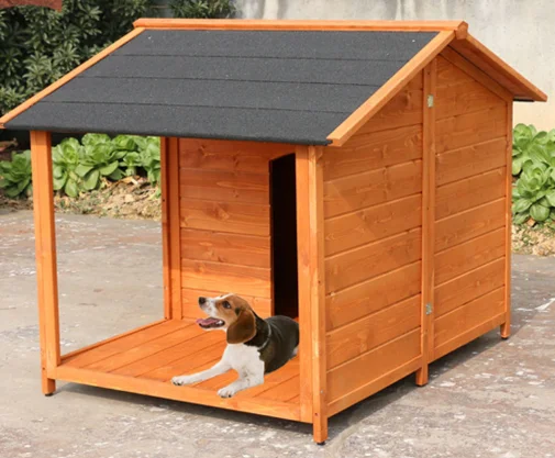 dog shelter house