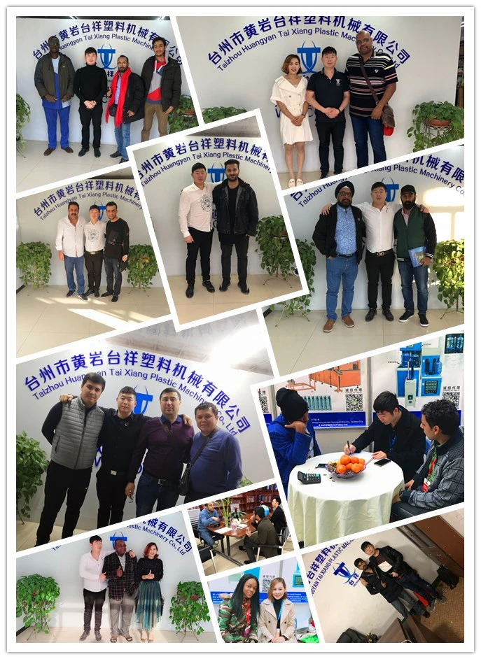2019 new sell semi auto PET bottle blowing machine taizhou manufacturer