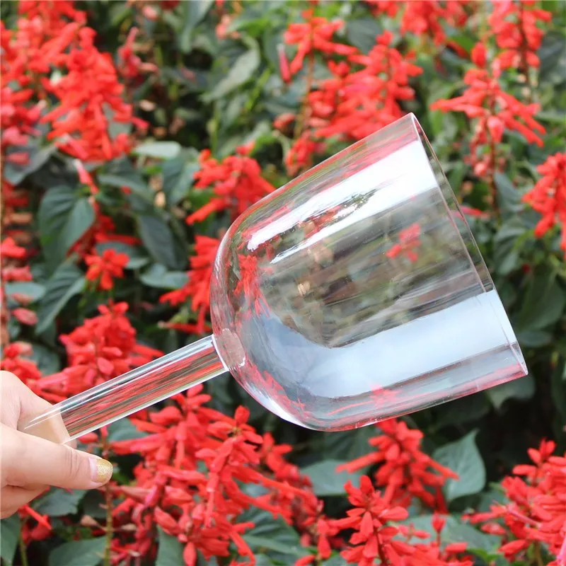 crystal singing bowl with handle (32)