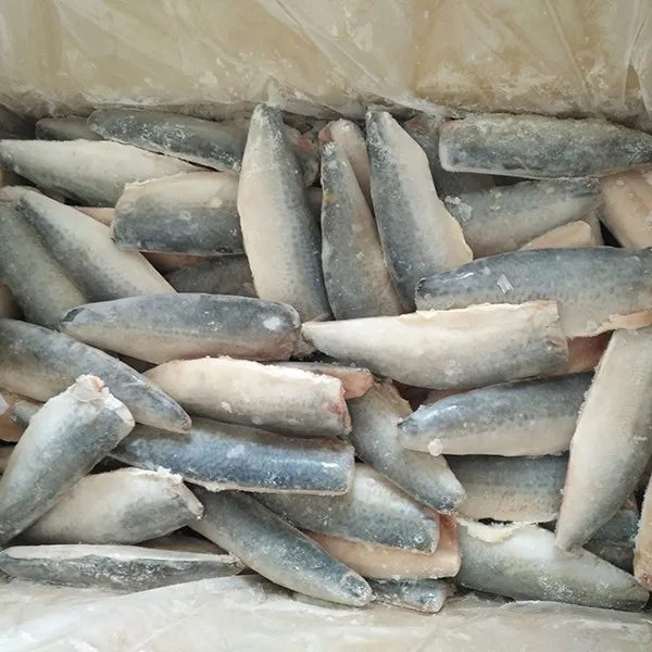 Filleted Fresh Frozen Mackerel Buy Filleted Fresh Catch Mackerel In