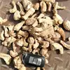 Factory supply Wholesales Dried Mushroom Stem