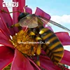 Garden Decoration Simulation Insect Fly Model