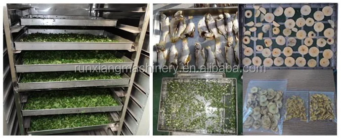 electric hot air food fruit vegetable dryer