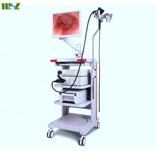 Best Price Series Video Endoscopy Camera System Mslcyn02 Buy Video