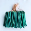 Garden wired green wooden floral picks