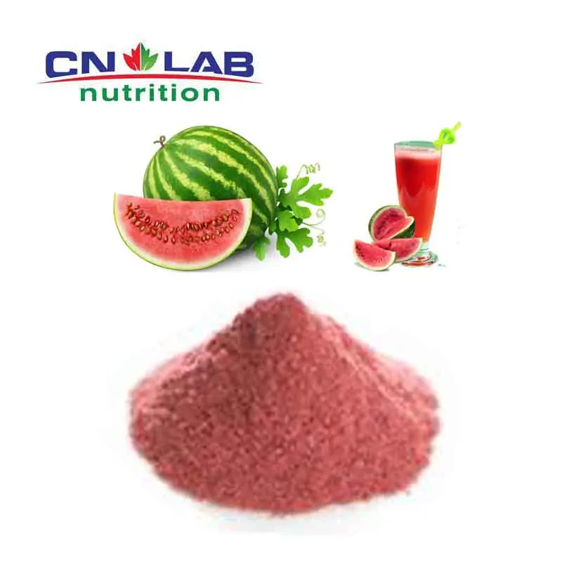 Top Quality Organic Freeze Dried Watermelon Powder/ Watermelon Extract