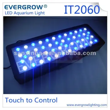 Zeeaquarium Led Dimbaar Paneel Evergrow It2080 36 Inch Led Aquarium ... Zeeaquarium Led Dimbaar Paneel Evergrow It2080 36 Inch Led Aquarium ...