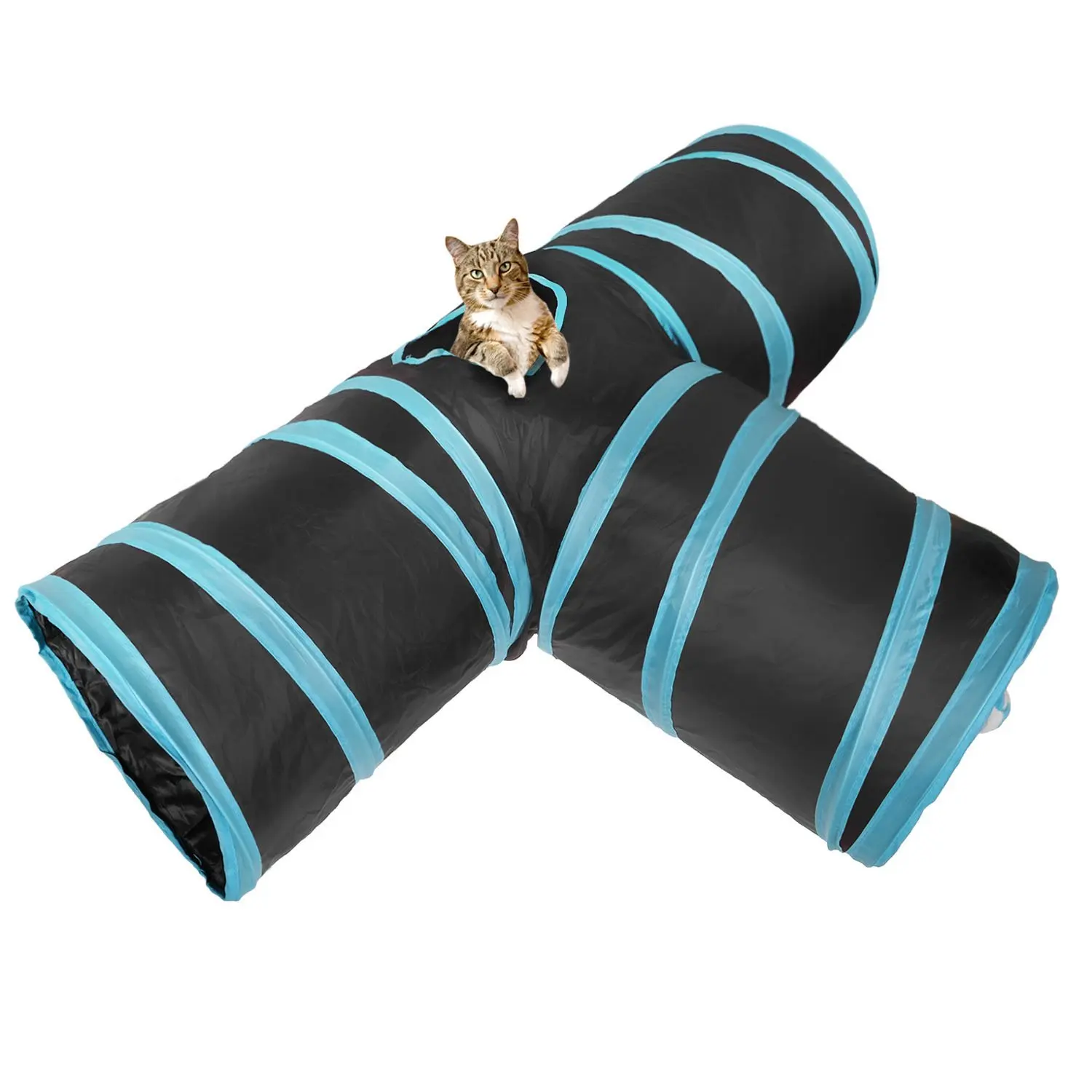 cat toy tube