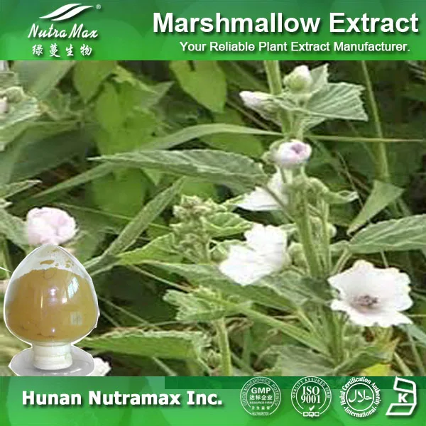 Marshmallow extract
