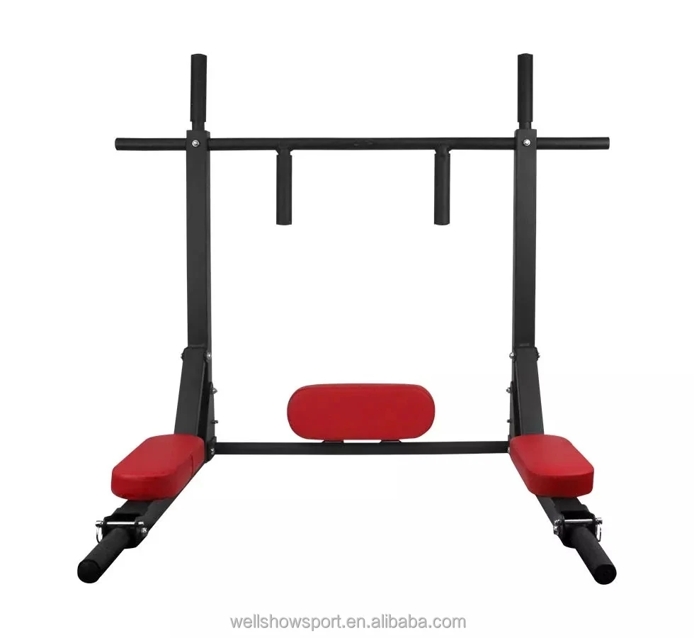 Wellshow Sport Chin Up Bar Wall Mounted Pull Up Bar Dip Station