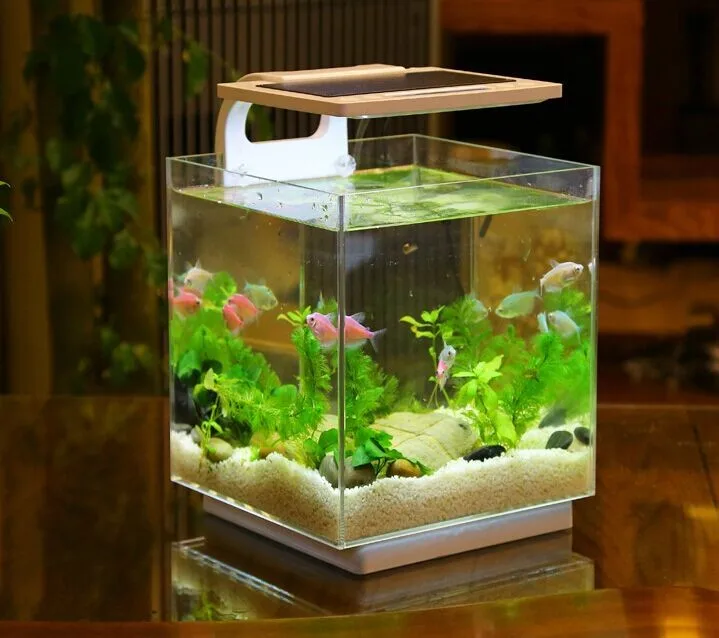 aquarium accessories cheap