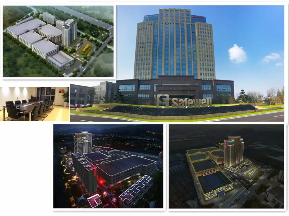 1 Our Company