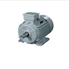 Cast Iron Frame Three Phase Electric AC Induction Motor
