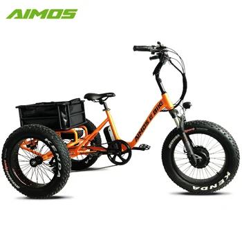 three wheel ebikes