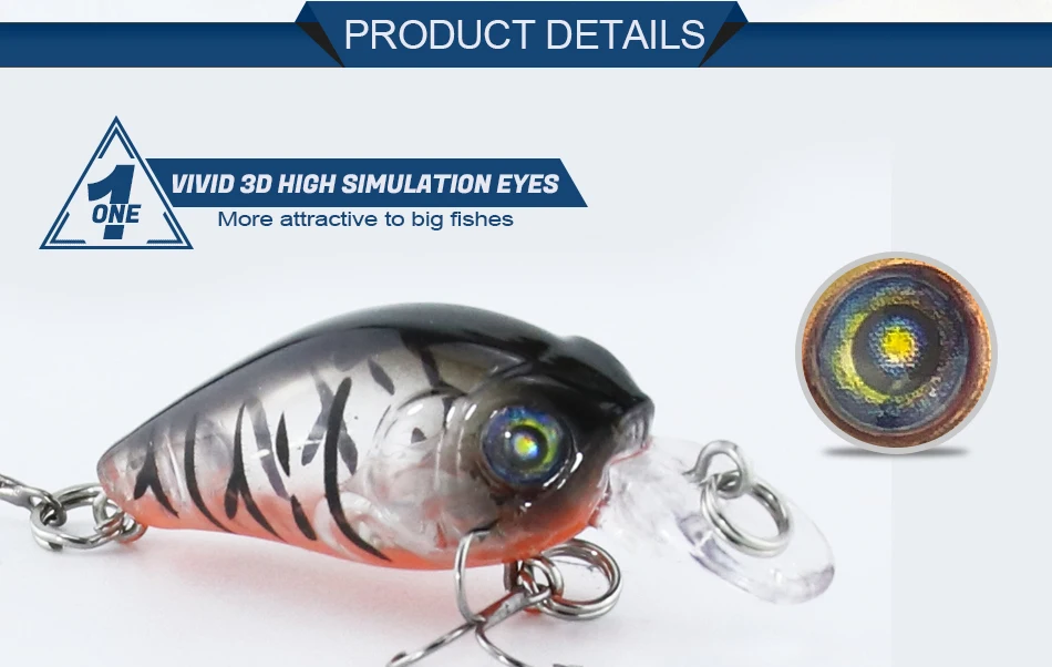 CSC001-detail 01.jpg