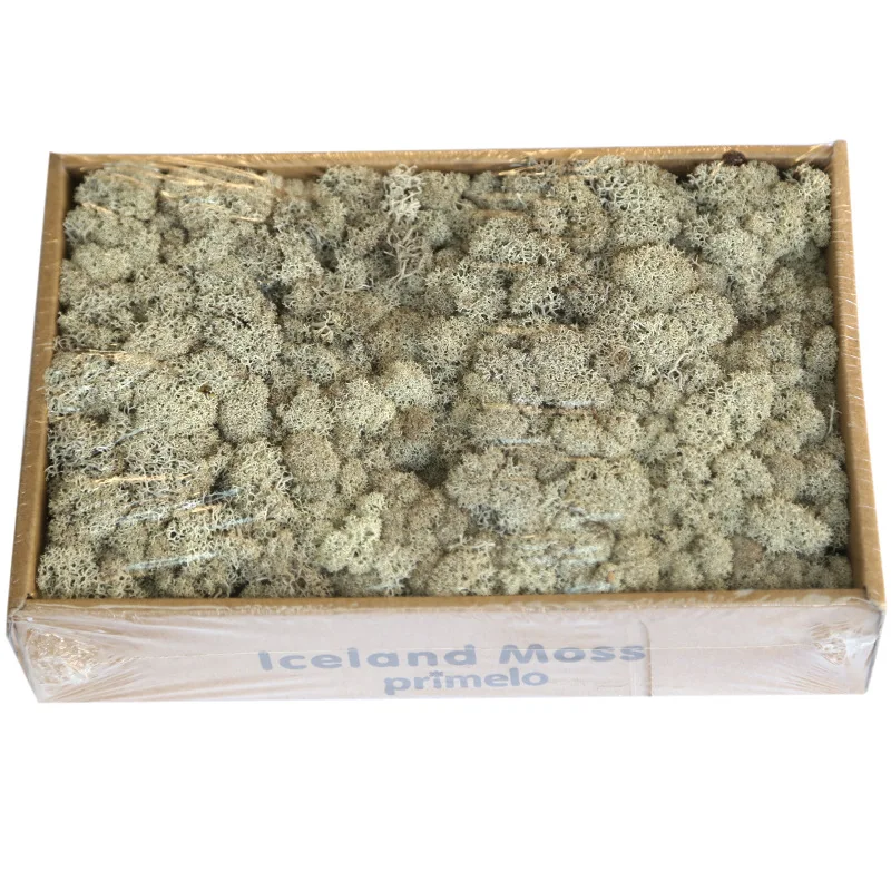 8917419434_1787692047