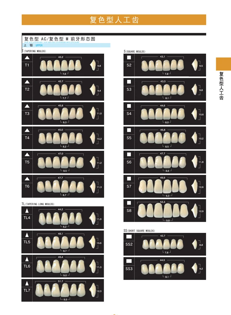 Yamahachi Acrylic Synthetic Teeth / Artificial Teeth False Teeth ...