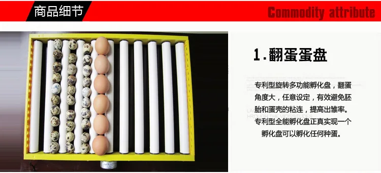 egg incubator in dubai price