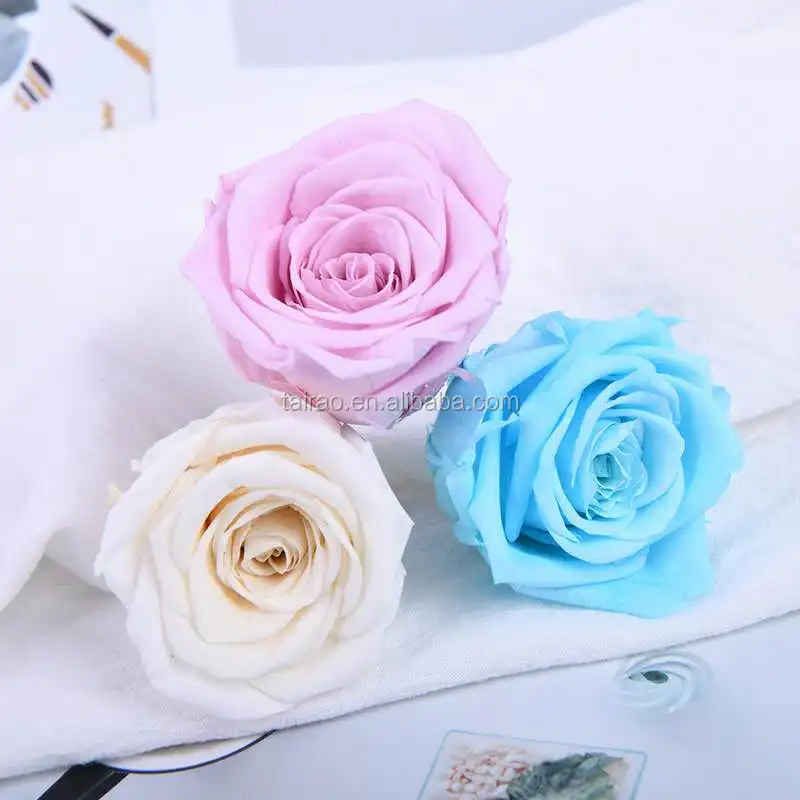 Wholesale New 5 6 Cm Artificial White Rose Head Bulk Large Silk Flowers Buy 5 6 Cm Rose Head Wholesale Artificial White Rose Head Bulk Large Silk Flowers Product On Alibaba Com