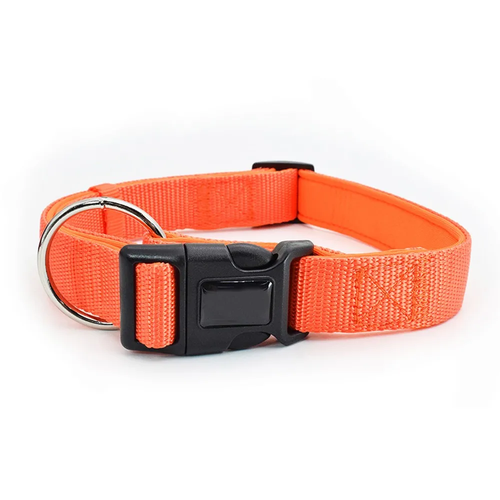 Oem Custom Luxury Personalized Logo Adjustable Blank Plain Nylon Pet