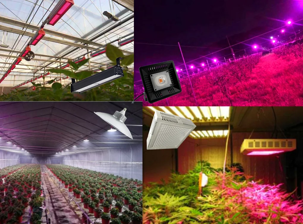 户外室内温室led 植物灯ip66 50w 100w 150w Buy Led 植物灯 Led 植物灯 装饰植物灯product On Alibaba Com