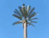 /product-detail/camouflaged-palm-tree-telecom-tower-60636053021.html