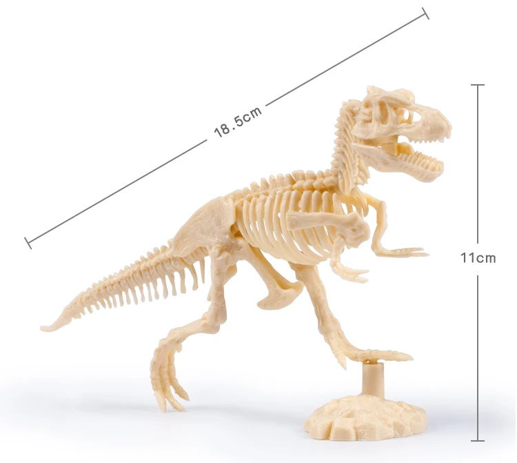 プラスチック恐竜スケルトン発掘キット恐竜化石掘るおもちゃ Buy 恐竜スケルトン発掘キット プラスチック恐竜化石おもちゃ 恐竜化石掘るおもちゃ Product On Alibaba Com