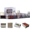 Paper pulp egg / fruit tray face mask molding machine