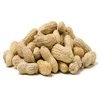 China Peanut inshell 11/13 for sale