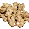 High quality cheap market prices for fresh ginger in plastic bags