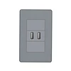 Newest 2017 Stainless Steel Double Electrical Socket USB 220V