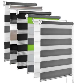 Verschiedene Arten Horizontale Jalousien Tag Nacht Zebra Blind Von Der