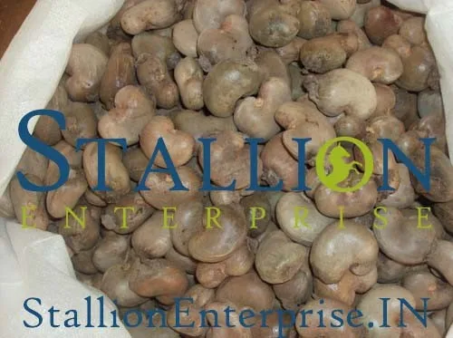 raw cashew importers india