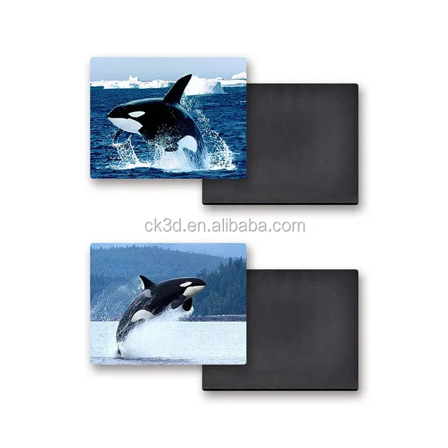 fridge magnet (2).jpg