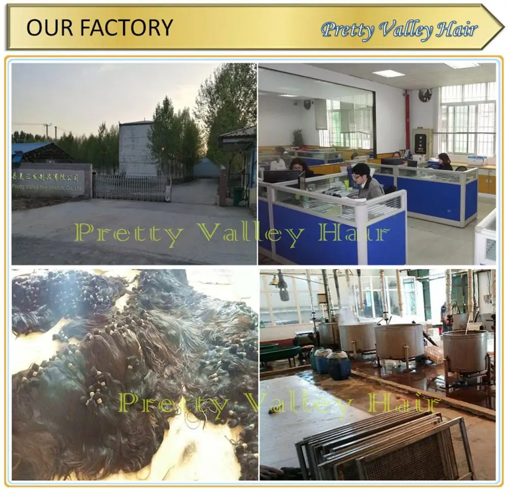 1Our Factory.jpg