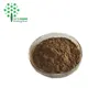 AMAZING OFFER ahcc mushroom powder extract golden suppliers
