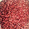 red kieney beans