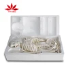 Mini human 85cm skeleton model with the spinal nerve medical science model