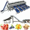 Peach Fruits Processing Line for Grape Washing Machine with Nectarine Hawthorn Sorting Equipment Loquat Drying Machinery