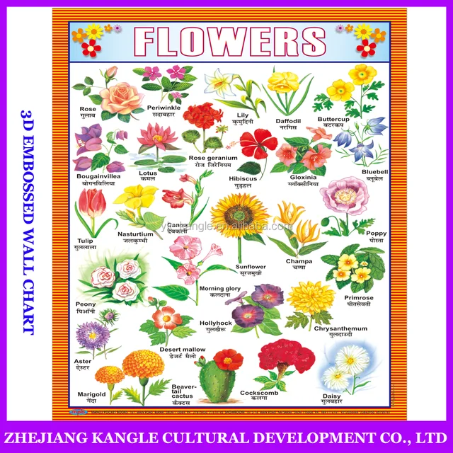 Flower Chart In English