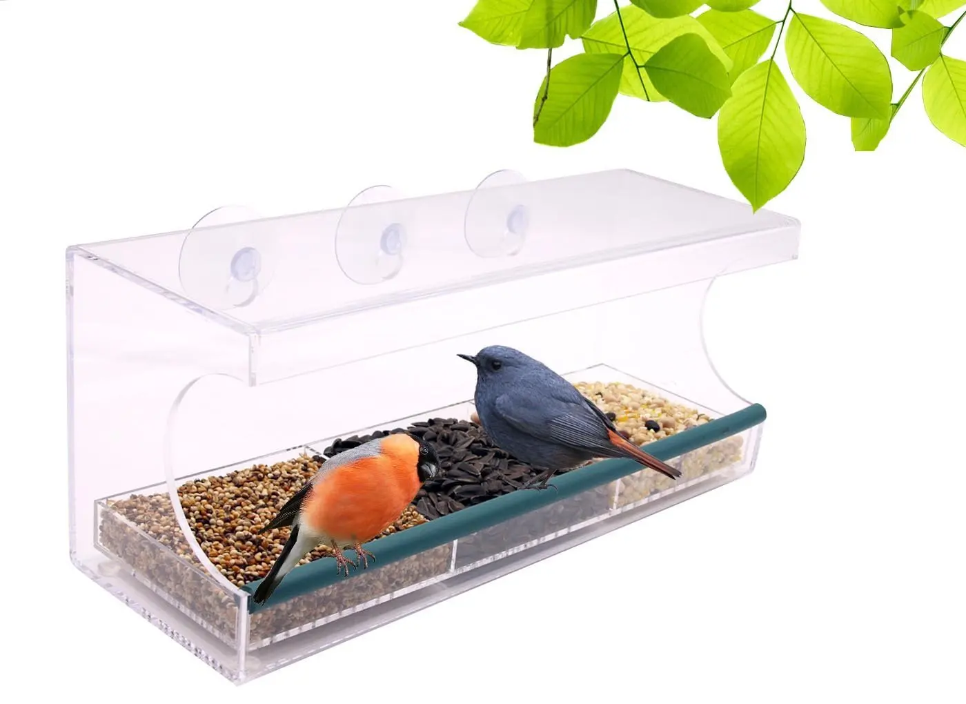 Buy Acrylic Window Bird Feeder Large Clear Suction Cups