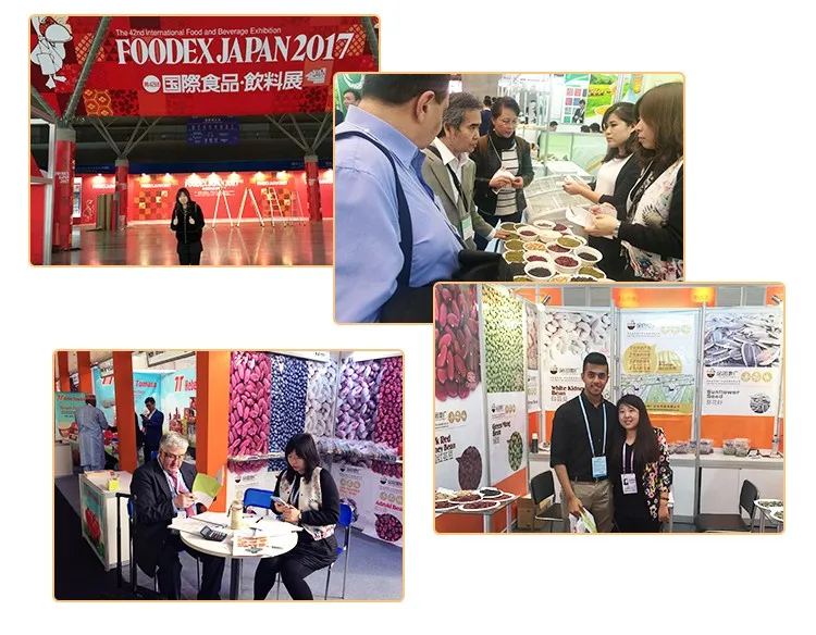 14-exhibition-01