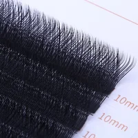 

Lashbeauty 0.07mm C Premade Volume Fans Y Shape Lashes Private Label Y Eyelash extension Silk