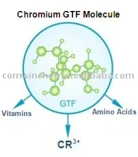 chromium glucose tolerance factor