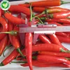 IQF Export best price long frozen red chilli pepper
