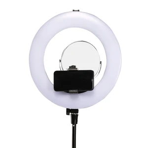12 inch Dimmable LED Ring Light Kit Carry Bag